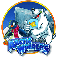 Artic Wonders