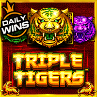 Triple Tigers